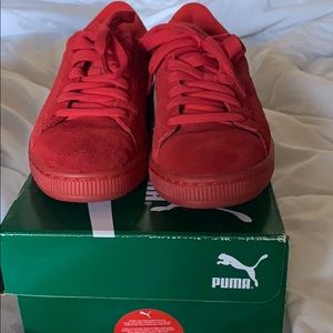 Red pumas